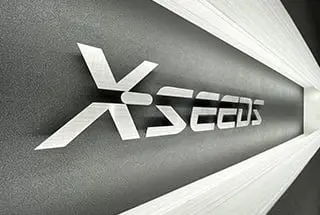 株式会社エクシーズ